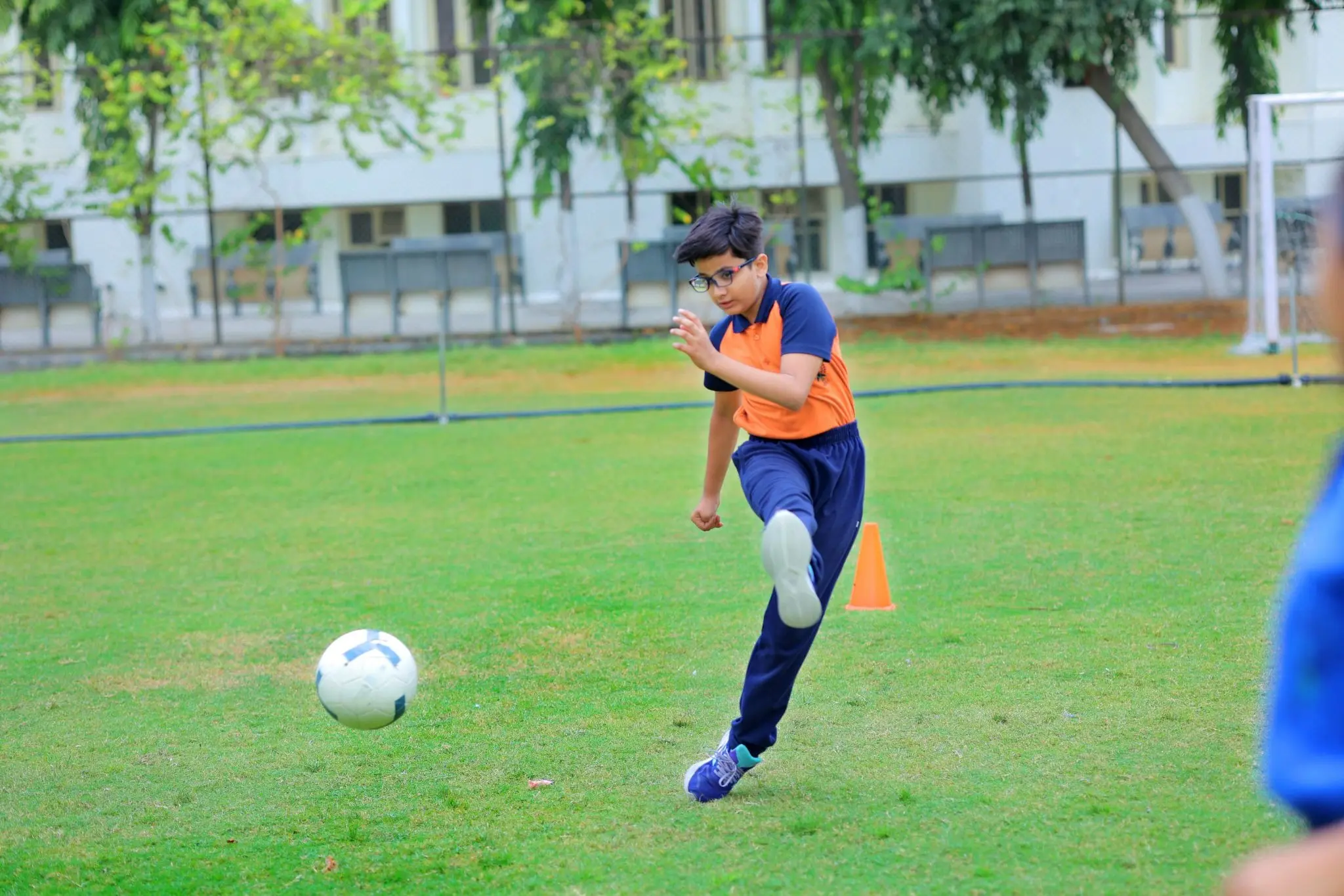 role of schools in promoting health