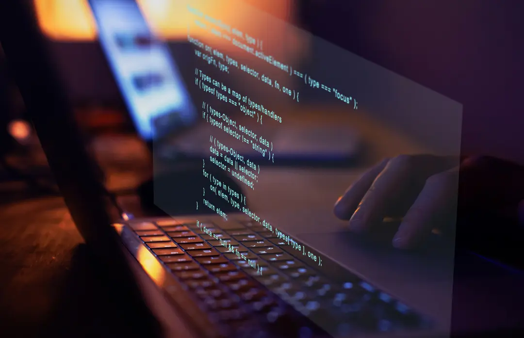 Website Development