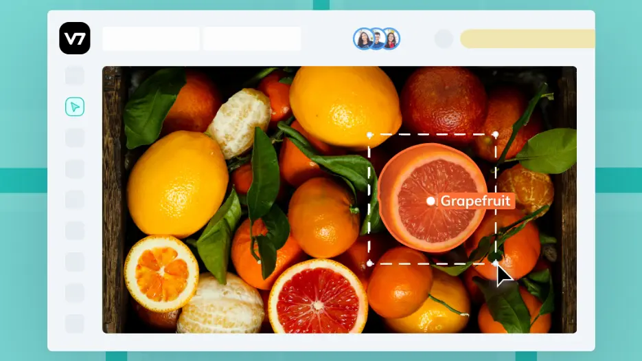 Dataset Annotation Tool