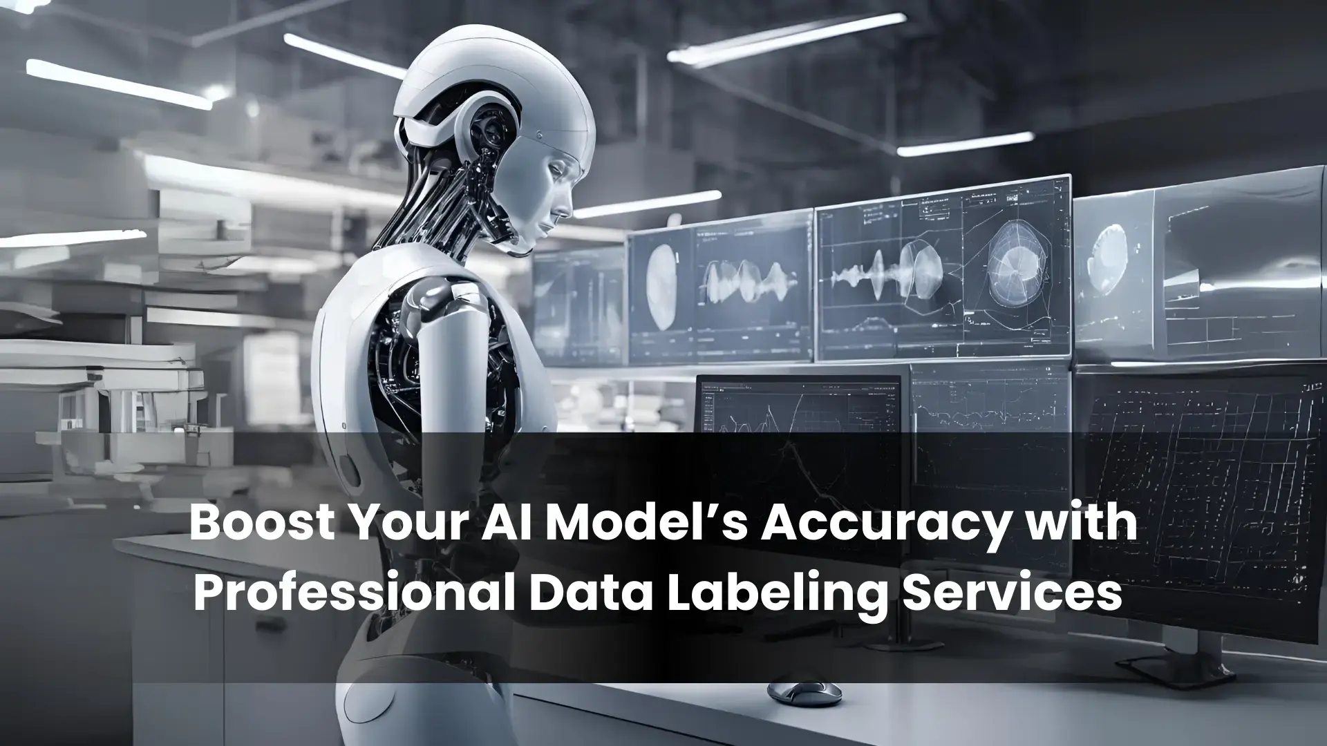 Data Labeling 