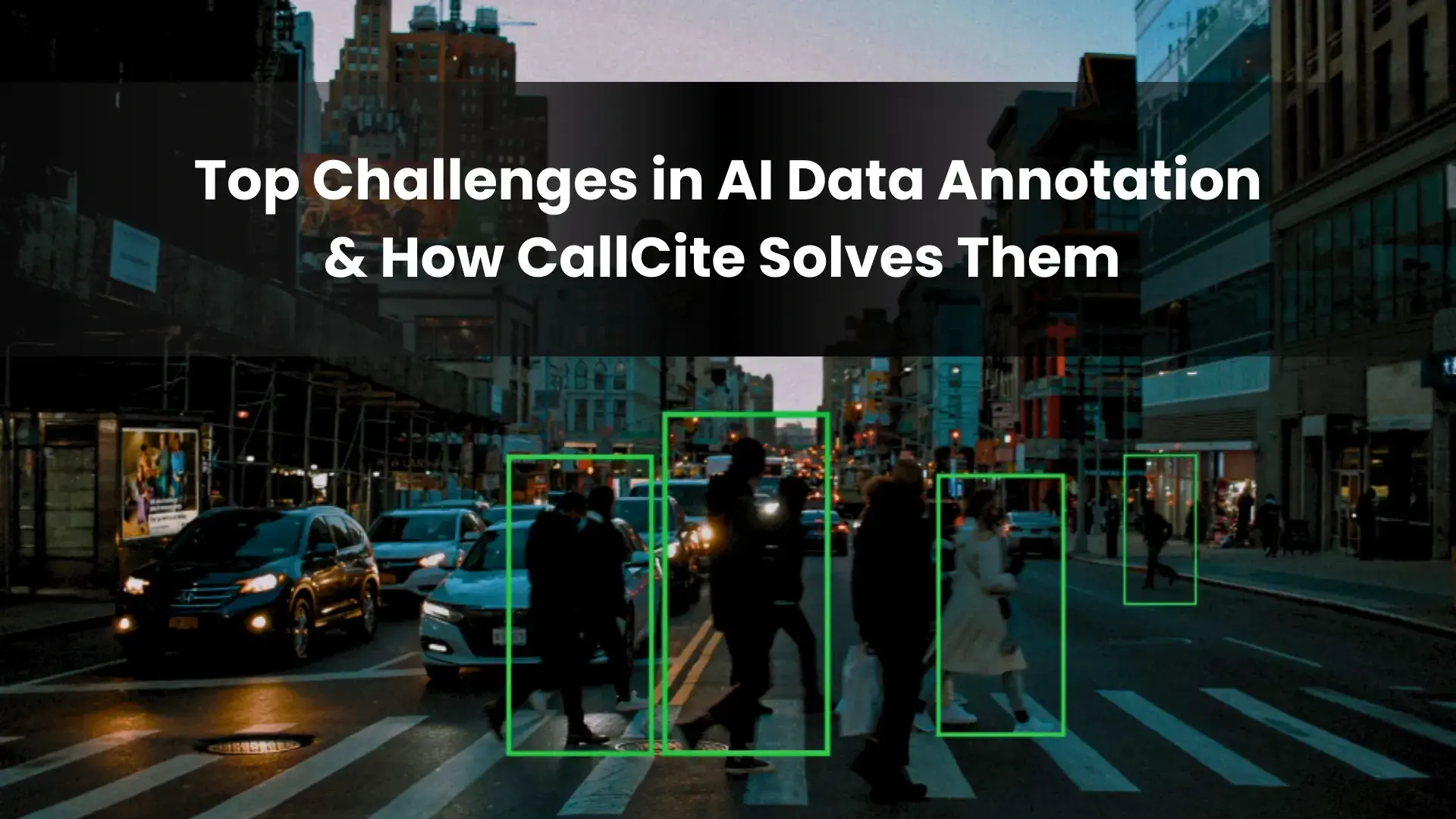 AI Data Annotation