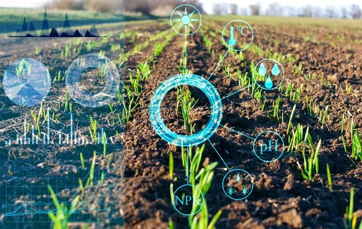 agriculture