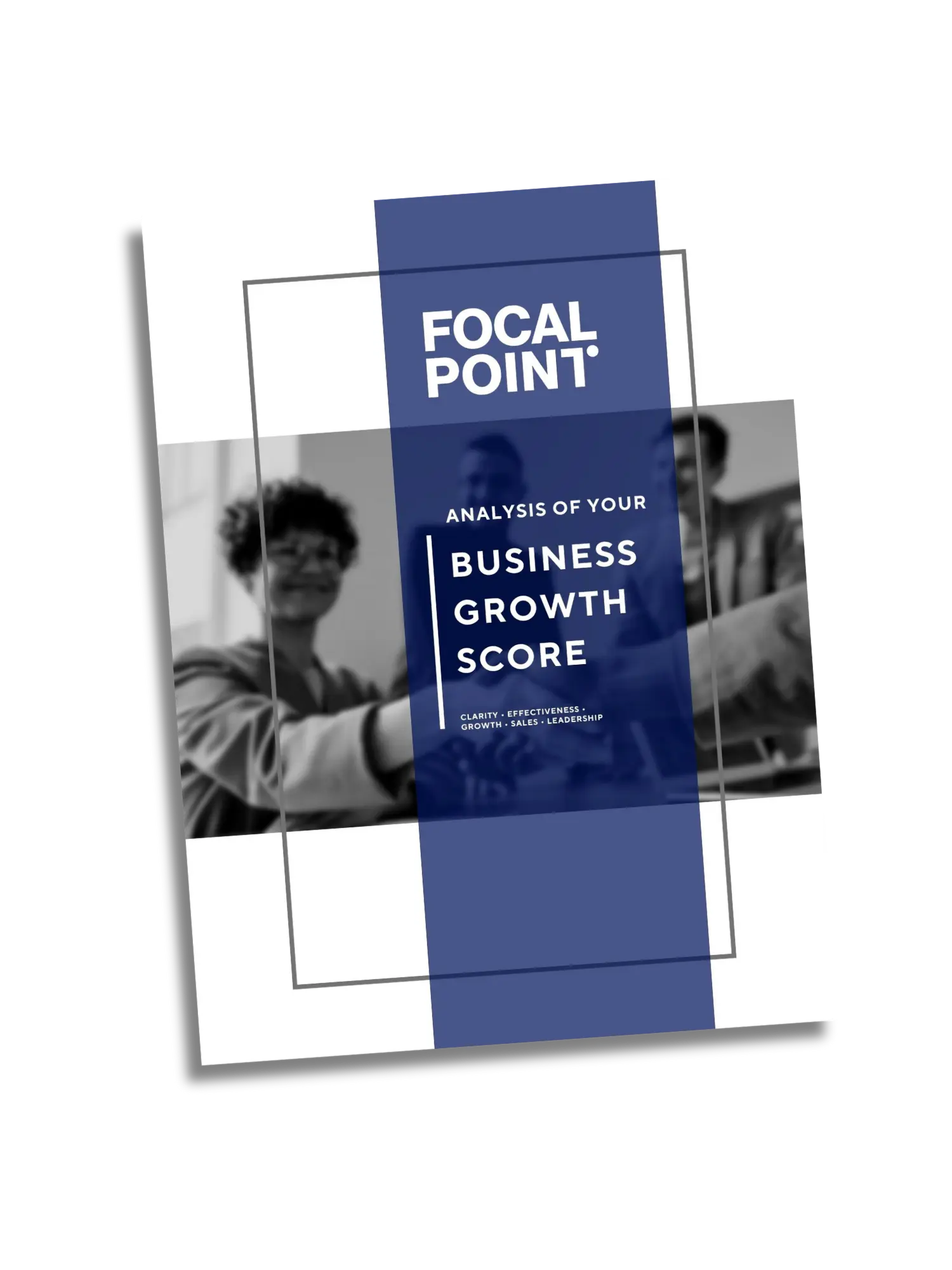 Business Growth Score