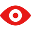 Vision Icon