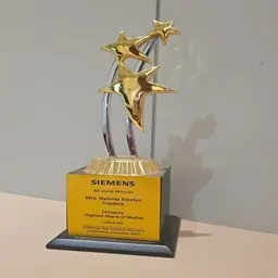 Award 4